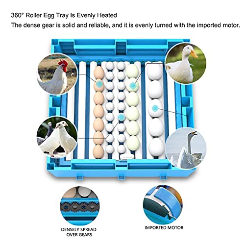 Eier Inkubator Groß Hähnchen Bauernhof Brutmaschine Mit Automatisch Ei Drehen Temperatur Steuerung Geflügel Brüter Zum… – Bild 5