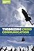 Theorizing Crisis Communication (Foundations in Communication Theory)