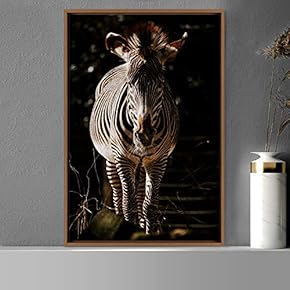signwin Framed Canvas Wall Art Zebra Animals Dramatic...