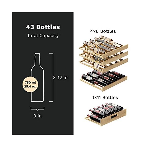 hOmeLabs-43-Bottles-High-End-Wine-Cooler-Free-Standing-Dual-Zone-Mini-Fridge-and-Chiller-for-Wines-with-Temperature-Control-Panel-Stainless-Steel-Reversible-Door-Swing-and-Removable-Wood-Shelves