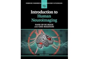 Introduction to Human Neuroimaging
