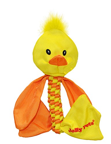 Jolly Pets Duck Animal Flathead Tug/Squeak Toy, Medium