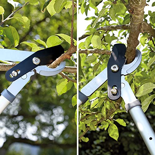 Altdorff Extendable Bypass Loppers,2432" Tree Trimmer&Branch Cutter