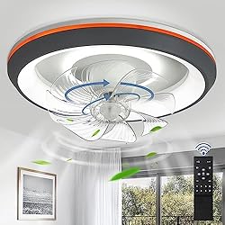 DLLT Modern Ceiling Fans with Lights, 360-Degree