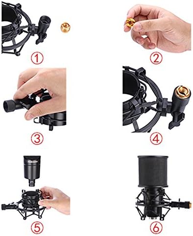 Condenser microphone with shock mount and pop filter.