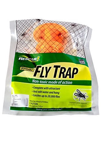 STERLING INTERNATIONAL INC Rescue FTD Disposable Non-Toxic Fly Trap (12 TRAPS)