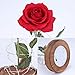 sexyrobot Beauty and the Beast Red Rose, Silk Flower with LED Light in a Glass Dome for Home Decor Holiday Party Wedding Anniversary Birthday Valentine's Day Gift