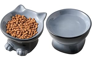 Nihow Ceramic Raised Cat & Dog Bowls: 5 Inch Elegant Gray (2 PC), Protecting Pet's Spine, Feeding & Watering Supplies, Modern Design, Anti Vomiting, Whisker Friendly