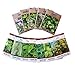 Assortment of 12 Culinary Herb Seeds - Non-GMO | Grow Cooking Herbs: Parsley, Thyme, Cilantro, Basil, Dill, Oregano, Sage & More primary