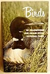 Birds Of Yellowstone And Grand Teton National Parks