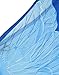 Blue Fairy Wings
