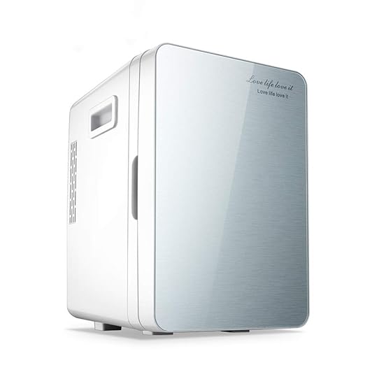 FQY-BX Mini Nevera 12V DC Electric Cool Box, Refrigerador For ...