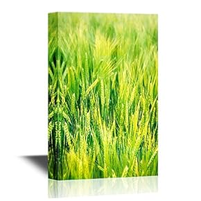 Landscape Canvas Wall Art - Green Wheat Field - Gallery Wrap Modern Home Art | Ready to Hang - 12x18 inches