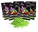 Holi Color Powder Green 10 Pack of 70 Grams Each