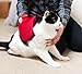 Best of Breed Glove Brush, Feels Great, Prevents Shedding, Gentle & Comfortable, Relaxing Massage, Long & Short Coats, Dog, Cat, Horse, Rabbit, Goat, Pig