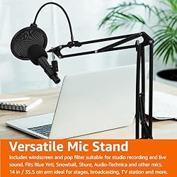 Amazon Basics Heavy-Duty Microphone Desk Arm Stand