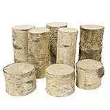 Walnut Hollow Mixed Assortment White Birch Pillars for Home Décor, Accent Pieces and Art & Craft Projects,  (8 pack)