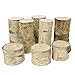 Walnut Hollow Mixed Assortment White Birch Pillars for Home Décor, Accent Pieces and Art & Craft Projects,  (8 pack)