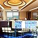 UMICKOO LED Strip Lights Kit,Led Light Strip Waterproof IP65,10m(2x5m,32.8ft) SMD 5050 300 LEDs,with IR Remote Controller for Home,Kitchen,Party,Christmas,DC 12V 5A
