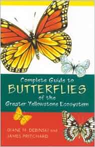 A Field Guide To Butterflies Of The Greater Yellowstone