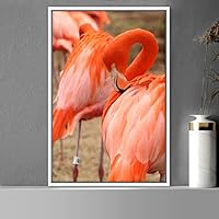 Framed Canvas Wall Art Single Bird Birds Expressive Farmhouse/Country Multicolor Photography Portrait Single - 16x24 inches