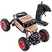 Remote Control Car for Boys, RC Cars for Gift Car Remote Control Road Vehicle Toys for Boy/Girls 4 WD 1:16 Scale Rock Crawlers