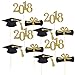 BESTONZON 48pcs Graduation Cupcake Toppers 2018 Graduation Party Decorations Cake Topper Picks Toothpick Toppers