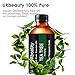 URPOWER Tea Tree Oil, 4 Ouce/ 120ml 100% Pure and Natural Tea Tree Essential Oil, Steam Distilled Essential Oils, Perfect for Massage, Aromatherapy, Diffusion, spa
