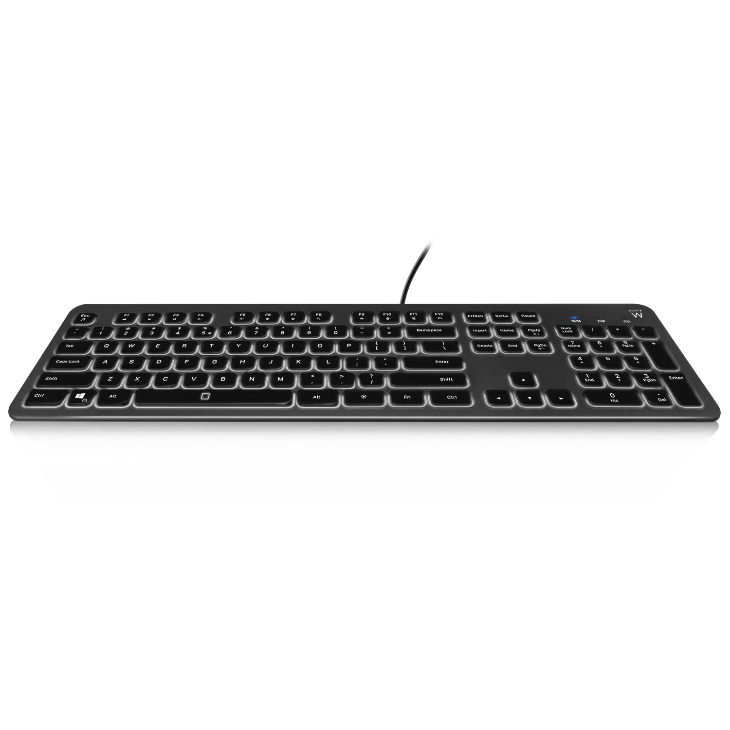Ewent EW3268 LED backlit keyboard, USB wired, full-size, large print, Italian QWERTY layout, black/grey