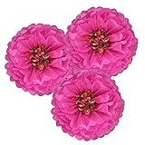 SUNBEAUTY Pack of 3 Fuchsia Tissue Paper Chrysanth Flowers Pom Poms Flower Backdrop Centerpiece for Wedding Birthday Baby Shower Party Table Decor (Fuchsia)