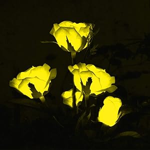 WUERLIN Solar Lights Outdoor Decorative, Rose Flower Solar Garden Stake Lights Waterproof and Realistic LED Flowers Powered Outdoor In-Ground Lights for Garden Lawn Patio Backyard (Yellow)