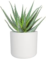 elho B.for Soft Round 22 Indoor Plant Pot 100% Recycled Plastic Ø22.3 x H20.4 cm view 8
