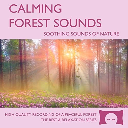 Akim Bliss - Nature Sounds: Ocean Waves, Forest Sounds, Rain, Wind