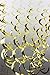 SUNBEAUTY Gold Color Foil Hanging Swirl Decorations Swirl Party Decorations Party Accessory Shower Birthday (14pc)