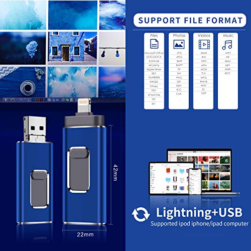 USB Flash Drive for iPhone 256gb Memory Stick LTY Photo Stick USB 3.0 Jump Drive Thumb Drives Externa Lightning Memory Stick for iPhone iPad Android and Computers (blue-256GB)