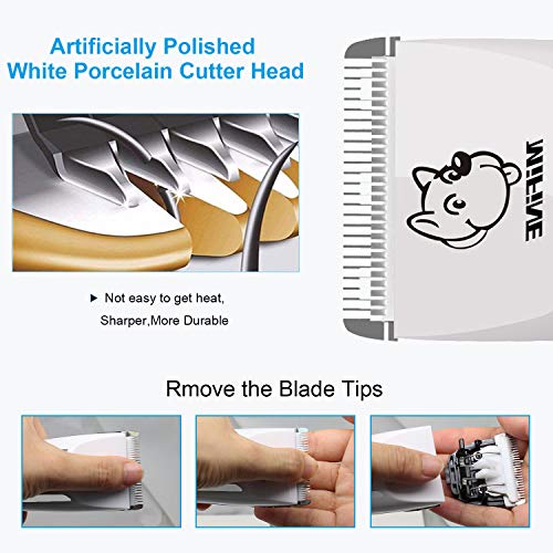 Professional Dog Grooming Clippers - Rechargeable Dog Grooming Kit and Dog Hair Clippers Cordless Suitable Dog & Cat and Other House Animals, Dog Hair Trimmer