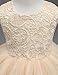 21KIDS Baby Girls Tulle Lace Flower Bridesmaid Gown Backless Dress with Bow for Party Wedding