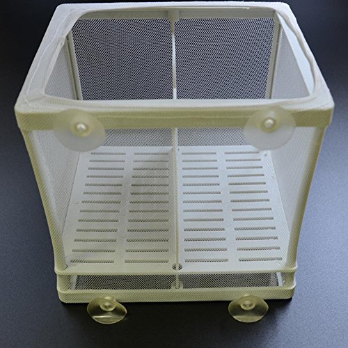 1 Kangkang+Aquarium+Incubator+Equipment+Isolation