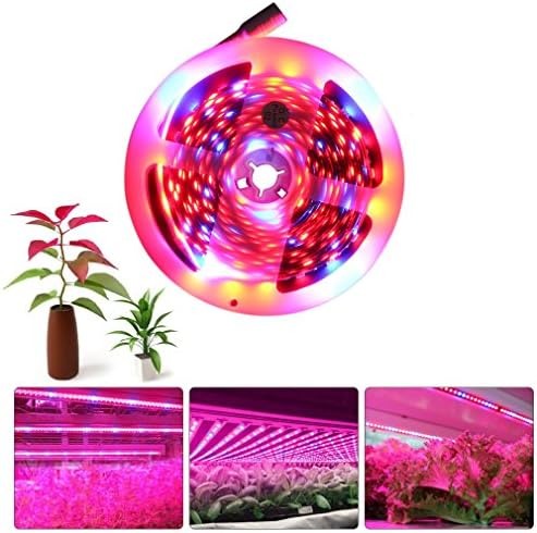 SUNWOW LED Plant Growing Lights -16.4 Feet Full Spectrum SMD 5050 Red Blue 4:1 strip Light for Greenhouse Hydroponic Plant (Non-waterproof)