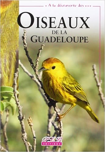 Amazonin Buy Oiseaux De La Guadeloupe Book Online At Low