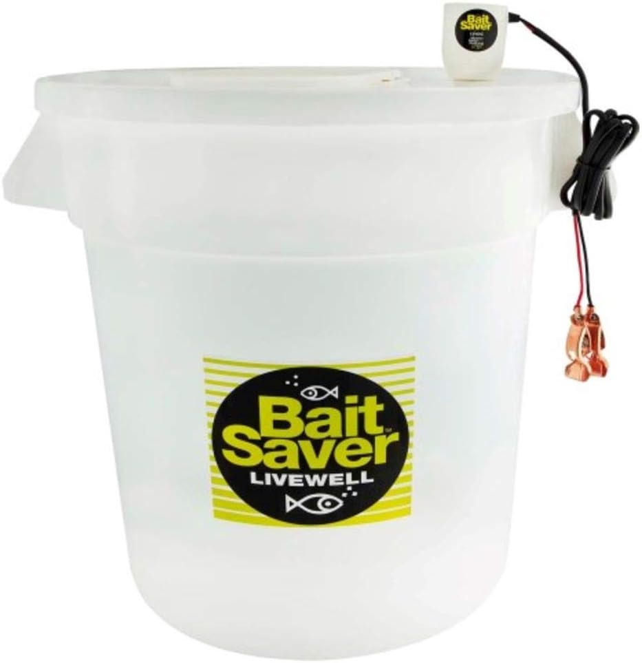 bait livewell
