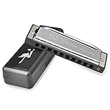 SWAN Harmonicas for Kids C Key Set with Case 10