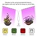 OxyLED Plant Grow Light (2-Head)