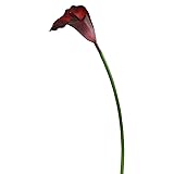 Vickerman 28" Artificial Burgundy Large Stem Calla