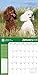 American Kennel Club Miniature Poodles 2018 Wall Calendar
