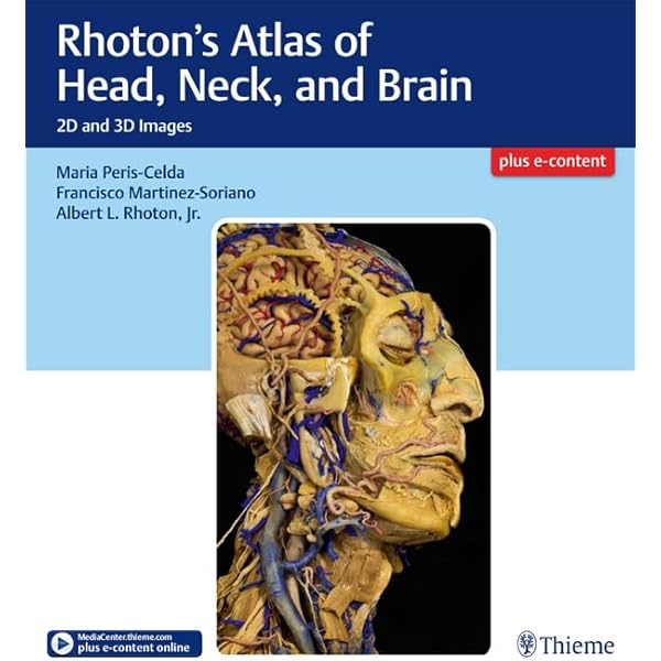 健康・医学 Rhoton's Cranial Anatomy and Surgical Rhoton: Cranial Anatomy and Surgical Approaches