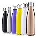 GABOSS 17oz Double Wall Vacuum Insulated Stainless Steel Water Bottle Perfect for Outdoor Sports Camping Hiking Cycling, with a Cleaning Brush for Free Gift