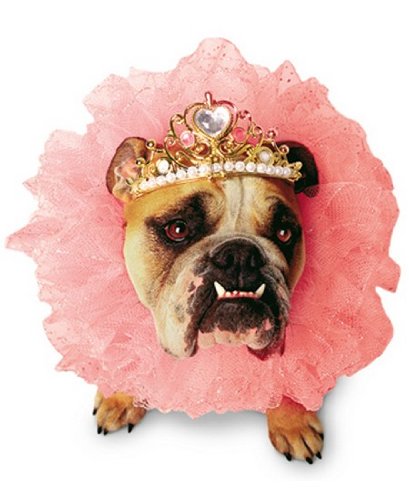 Zelda Queen Costume - Pet Costume