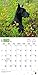 Great Danes - 2017 Calendar 12 x 12in