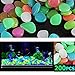 LXEYE Garden Pebbles,Glow Stones Rocks, 200pcs Glow in The Dark Garden Pebbles, Glow Stones Luminous Rocks for Walkways Outdoor Decor Aquarium Fairy Garden, Outdoor Glow Stone Rocks Garden Decorative